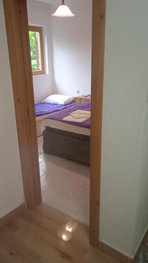Apartments Jovana Petrovac Kültér fotó